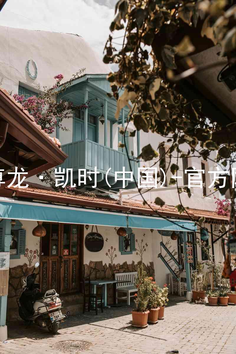 Z6尊龙·凯时(中国)-官方网站