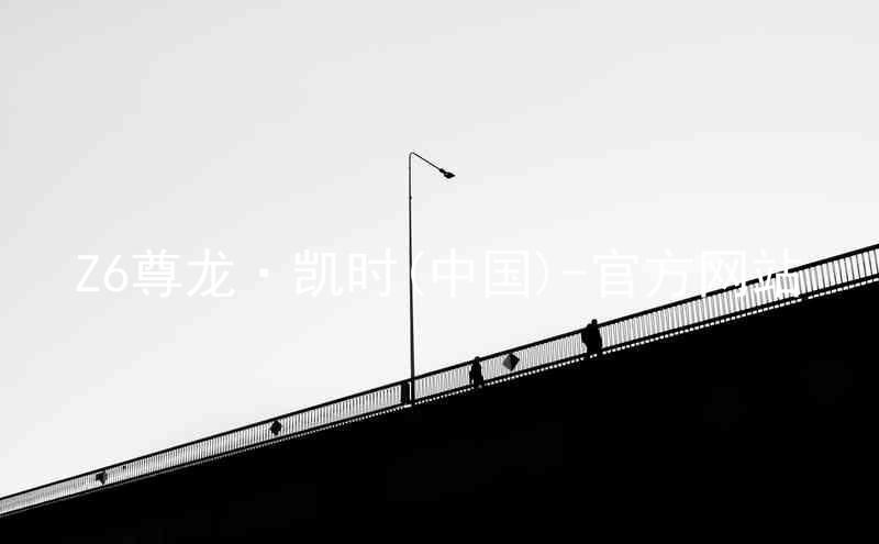 Z6尊龙·凯时(中国)-官方网站